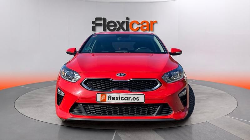 Brugt Kia Ceed 120 HK (88 kW) 2019 Rød Hatchback