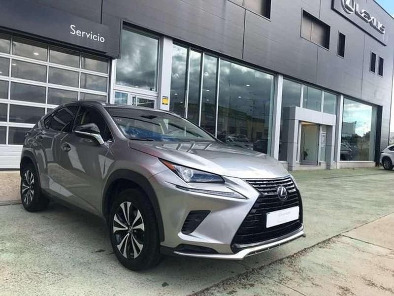 Usado Lexus NX300h Business Edition 197 CV (144 kW) 2021 Gris SUV
