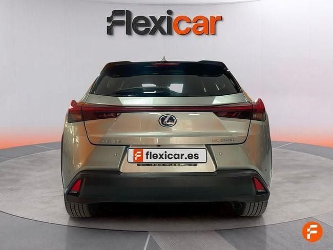 Usado Lexus UX Business Edition 184 CV (135 kW) 2020 Beige SUV