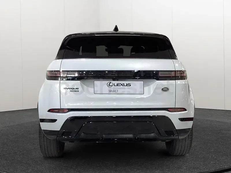 Usado Land Rover Range Rover evoque HSE 240 CV (176 kW) 2019 Blanco SUV