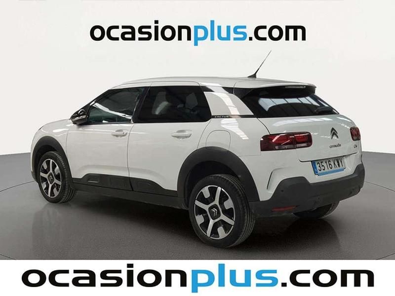 Brugt Citroën C4 Cactus Shine 102 HK (75 kW) 2019 Hvid Hatchback