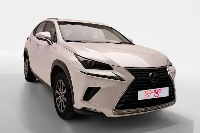 Usado Lexus NX300h Business Edition 197 CV (144 kW) 2019 SUV