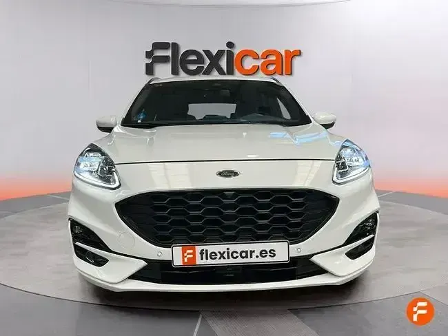 Usado Ford Kuga ST-Line 150 CV (110 kW) 2020 Blanco SUV