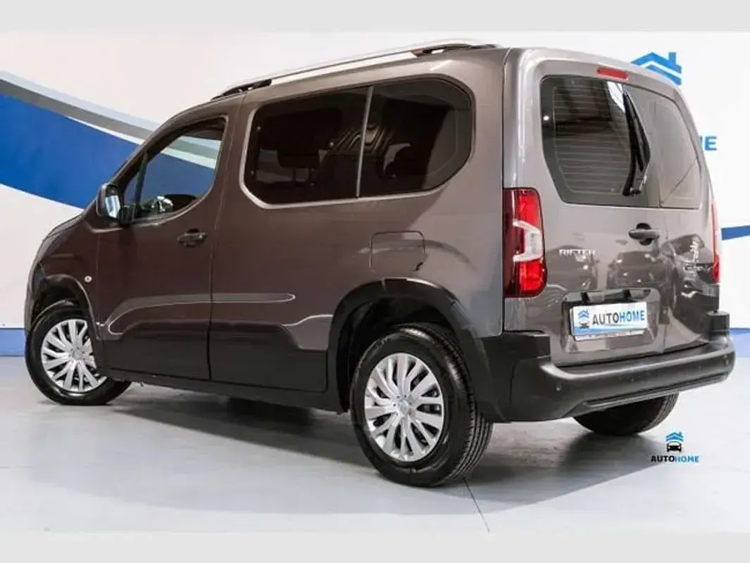 Usado Peugeot Rifter Access 101 CV (74 kW) 2019 Marrón Monovolumen
