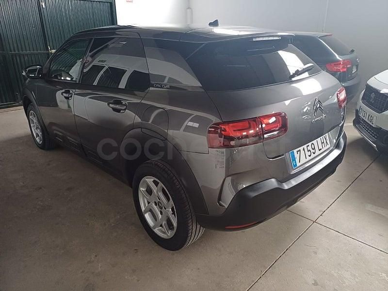 Usado Citroën C4 Cactus Shine 102 CV (75 kW) 2020 Gris / plata Utilitario