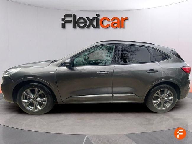 Usado Ford Kuga ST-Line 120 CV (88 kW) 2024 Gris SUV