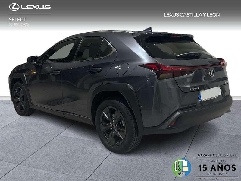 Usado Lexus UX 300h 201 CV (147 kW) 2025 Gris SUV