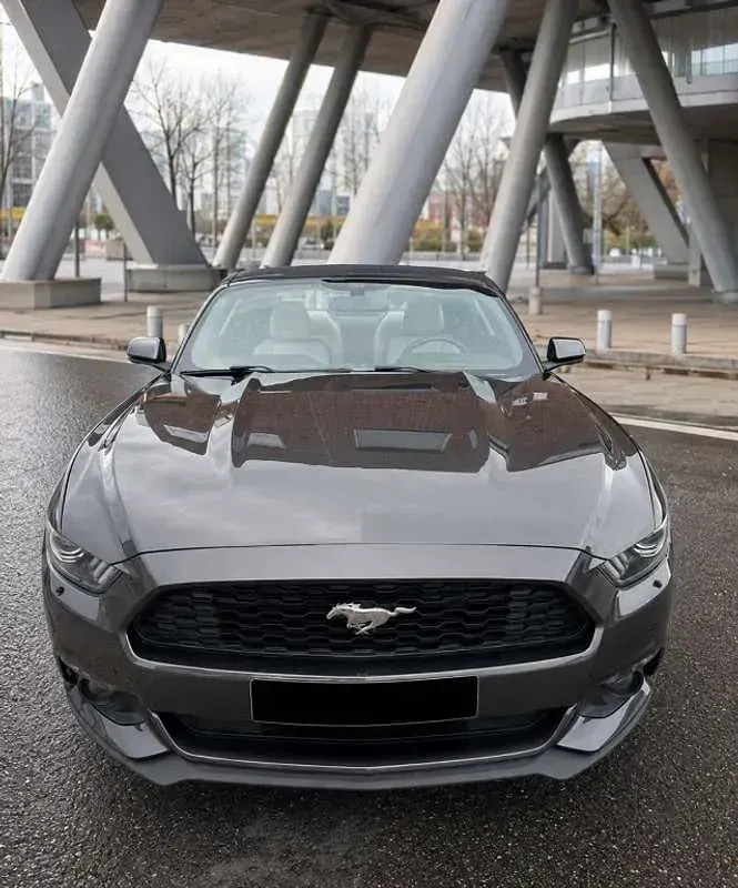Usado Ford Mustang Fastback 314 CV (230 kW) 2016 Gris Coupe