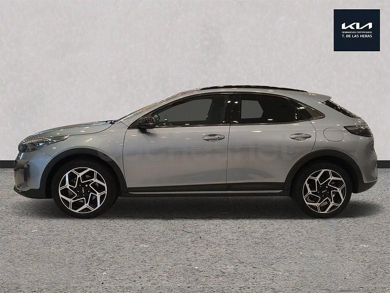Usado Kia XCeed GT-Line 140 CV (102 kW) 2024 Blanco SUV
