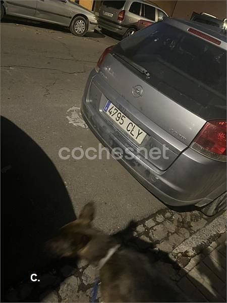 Usado Opel Signum 125 CV (91 kW) 2003 Gris / plata Utilitario