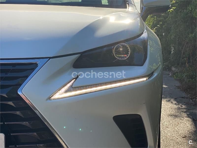 Usado Lexus NX300h Business Edition 197 CV (144 kW) 2019 Blanco SUV