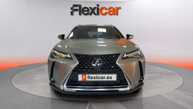 Usado Lexus UX Business Edition 184 CV (135 kW) 2020 Beige SUV