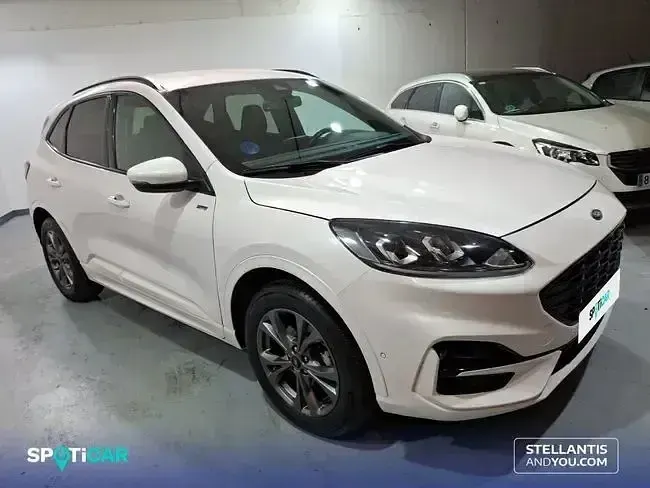 Usado Ford Kuga ST-Line 225 CV (165 kW) 2022 Gris SUV