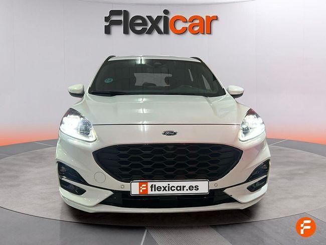 Usado Ford Kuga ST-Line X 150 CV (110 kW) 2022 Blanco SUV