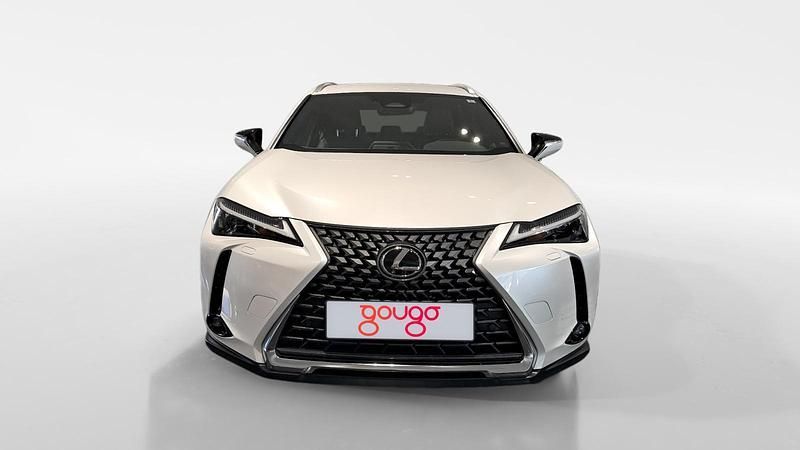 Usado Lexus UX 199 CV (146 kW) 2024 Blanco SUV