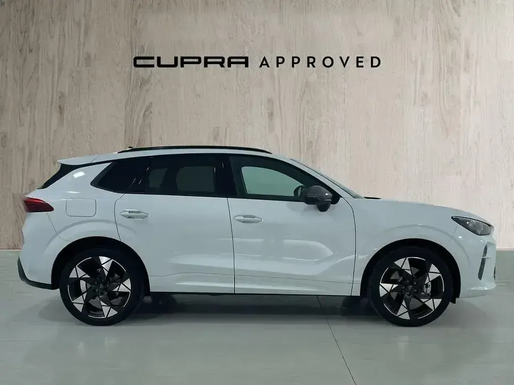 Usado Cupra Terramar 204 CV (150 kW) 2025 Blanco SUV
