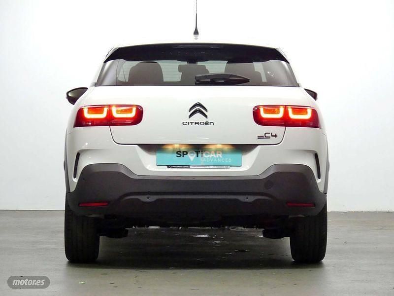Usado Citroën C4 Cactus Shine 99 CV (72 kW) 2019 Blanco Utilitario
