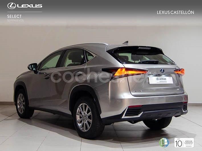 Usado Lexus NX300h Business Edition 197 CV (144 kW) 2019 Gris / plata SUV