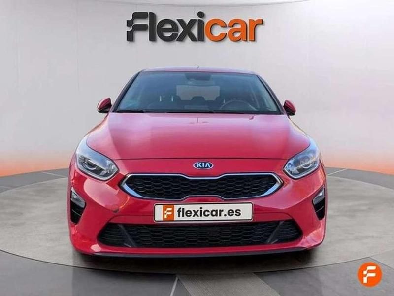Usado Kia Ceed 120 CV (88 kW) 2019 Rojo Utilitario