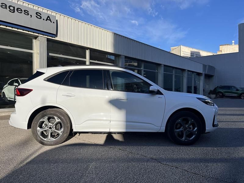 Usado Ford Kuga ST-Line 243 CV (178 kW) 2024 Blanco SUV