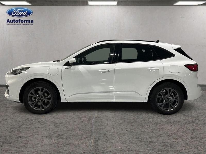 Usado Ford Kuga ST-Line 225 CV (165 kW) 2022 Blanco SUV