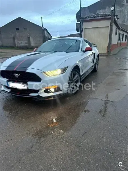 Käytetty Ford Mustang Fastback 291 HP (214 kW) 2021 Valkoinen Coupe - kaksiovinen
