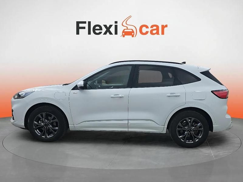 Usado Ford Kuga ST-Line 226 CV (166 kW) 2022 Blanco SUV
