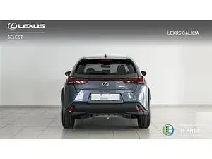 Usado Lexus UX 250h 184 CV (135 kW) 2024 Gris SUV