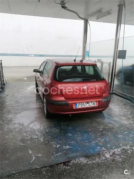 Usado Peugeot 307 110 CV (80 kW) 2004 Rojo Berlina