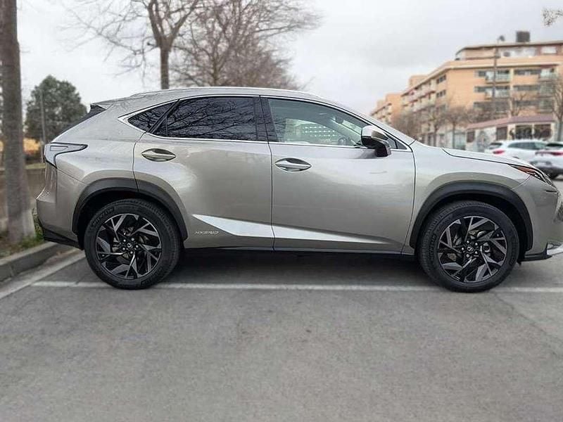 Usado Lexus NX300h Luxury Line 197 CV (144 kW) 2014 Gris SUV