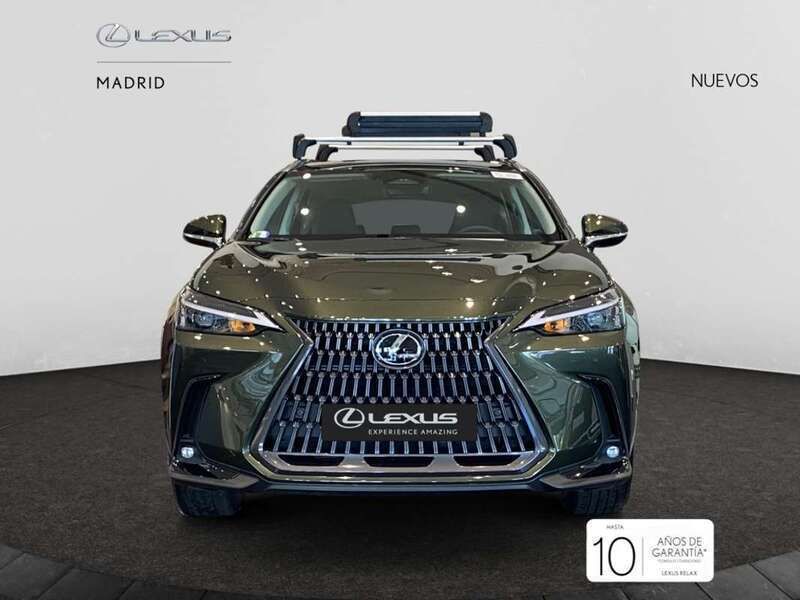 Nuevo Lexus NX350h 242 CV (177 kW) 2025 Verde SUV