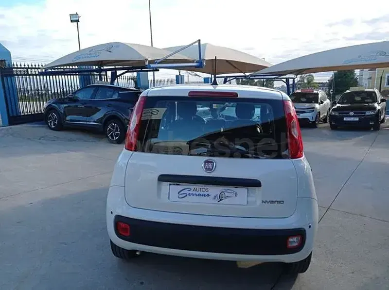 Nuevo Fiat Panda 70 CV (51 kW) 2025 Beige Utilitario