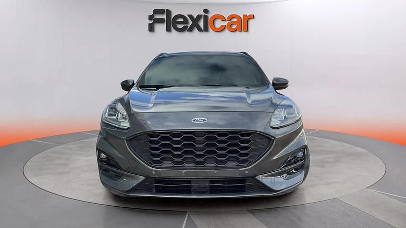 Usado Ford Kuga ST-Line 120 CV (88 kW) 2024 Gris SUV