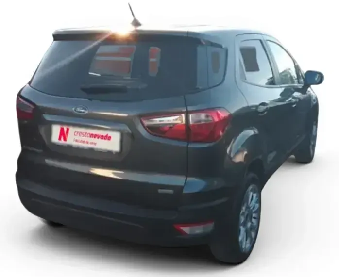 Usado Ford Ecosport Trend 125 CV (91 kW) 2019 Gris SUV