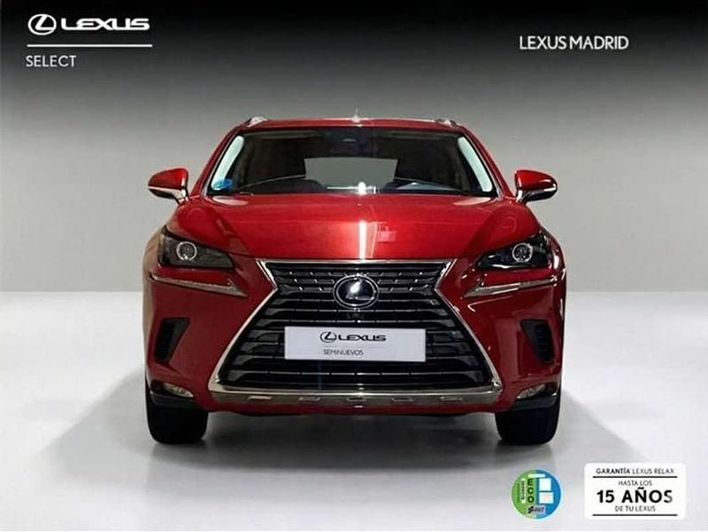 Usado Lexus NX300h Business Edition 197 CV (144 kW) 2020 Rojo SUV