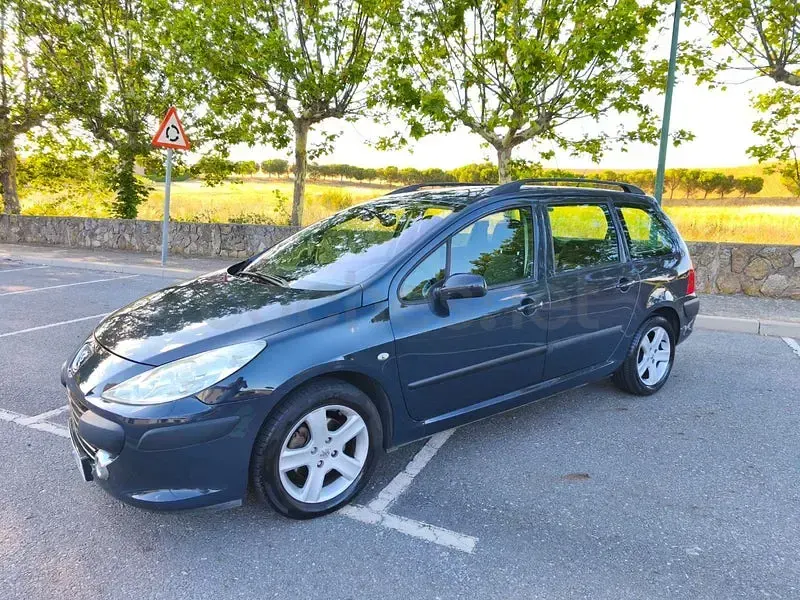 Usado Peugeot 307 110 CV (80 kW) 2006 Azul Familiar