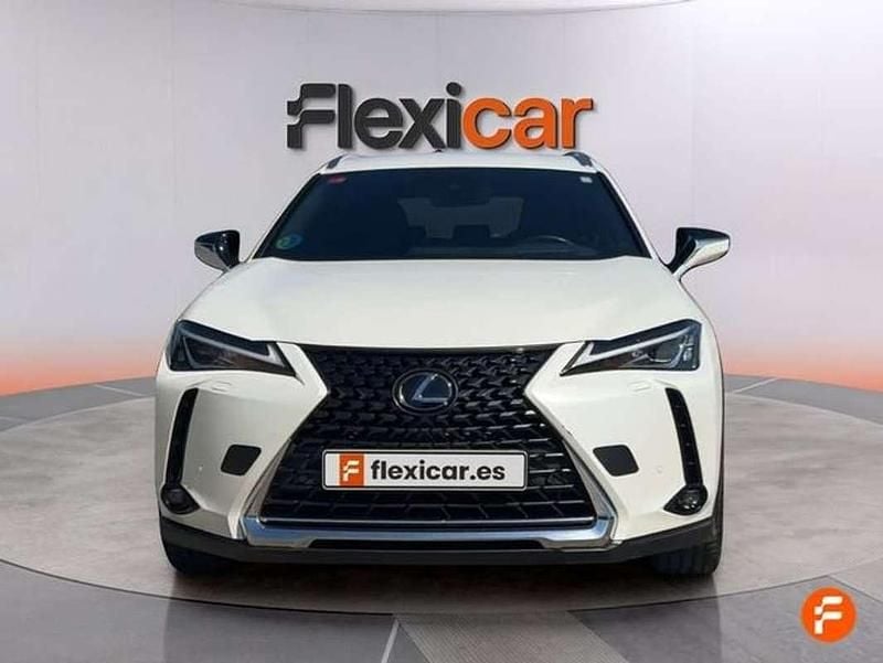 Usado Lexus UX 250h Business Edition 184 CV (135 kW) 2019 Blanco SUV