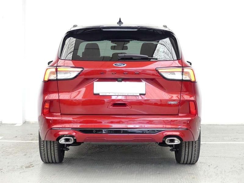 Usado Ford Kuga ST-Line X 227 CV (166 kW) 2023 Rojo SUV