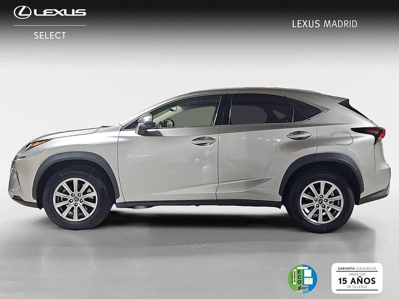 Usado Lexus NX300h Business Edition 197 CV (144 kW) 2021 Gris SUV