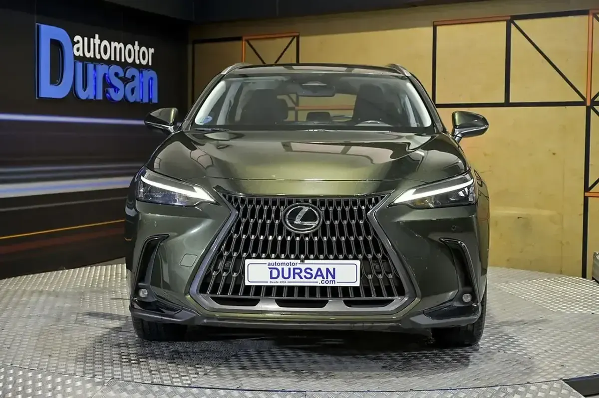 Usado Lexus NX350h Business Edition 242 CV (177 kW) 2022 Verde SUV