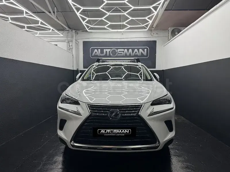 Usado Lexus NX300h Business Edition 197 CV (144 kW) 2019 Blanco SUV