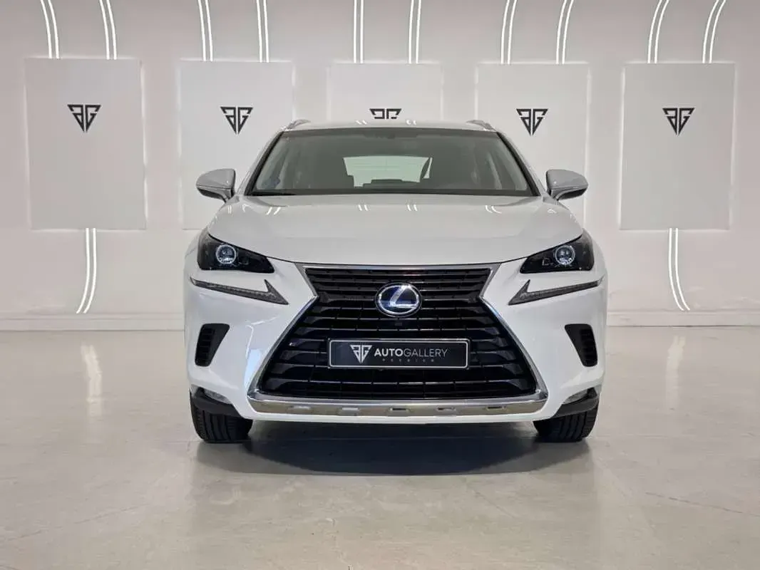 Usado Lexus NX300h Business Edition 197 CV (144 kW) 2019 Blanco SUV