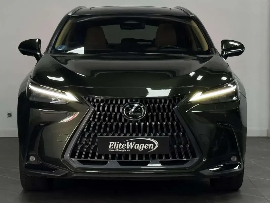 Usado Lexus NX450h+ Luxury Line 306 CV (225 kW) 2022 Verde SUV