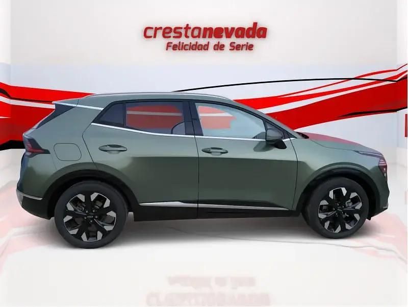 Usado Kia Sportage 265 CV (194 kW) 2022 Verde SUV