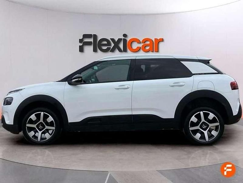 Usado Citroën C4 Cactus Feel 110 CV (80 kW) 2019 Blanco Utilitario