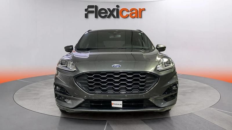 Usado Ford Kuga ST-Line 120 CV (88 kW) 2024 Gris SUV