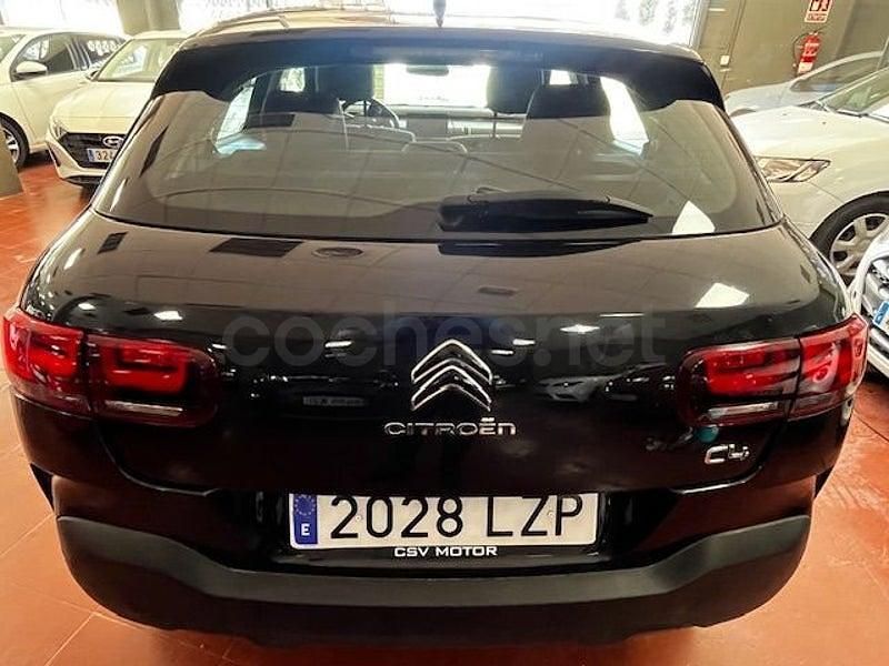 Usado Citroën C4 Cactus Business Class 102 CV (75 kW) 2019 Negro Utilitario