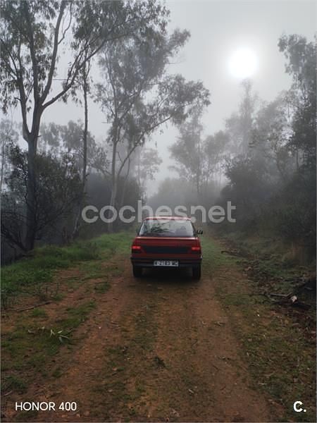 Usado Peugeot 309 65 CV (47 kW) 1991 Rojo Utilitario