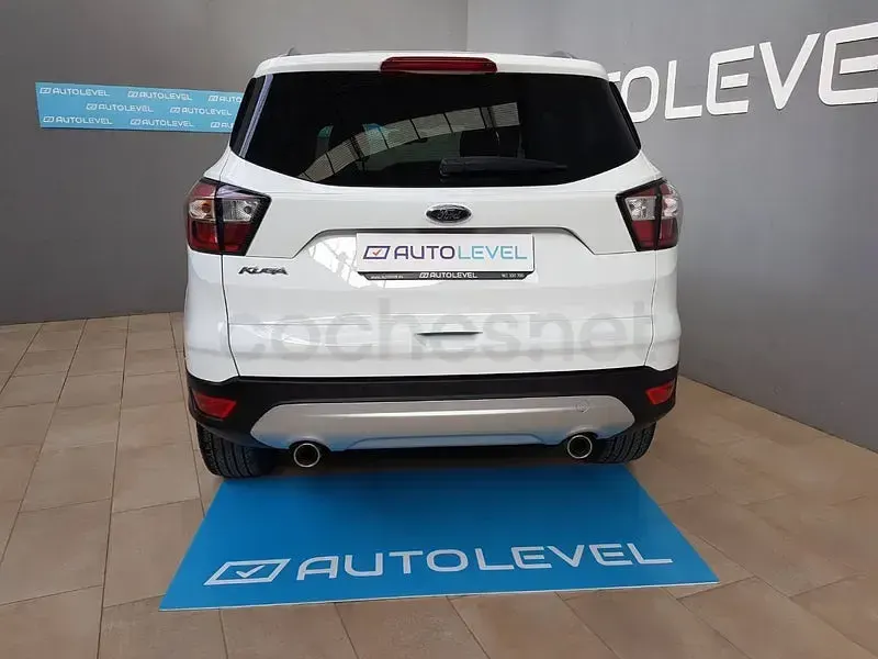 Usado Ford Kuga Trend 120 CV (88 kW) 2019 Blanco SUV