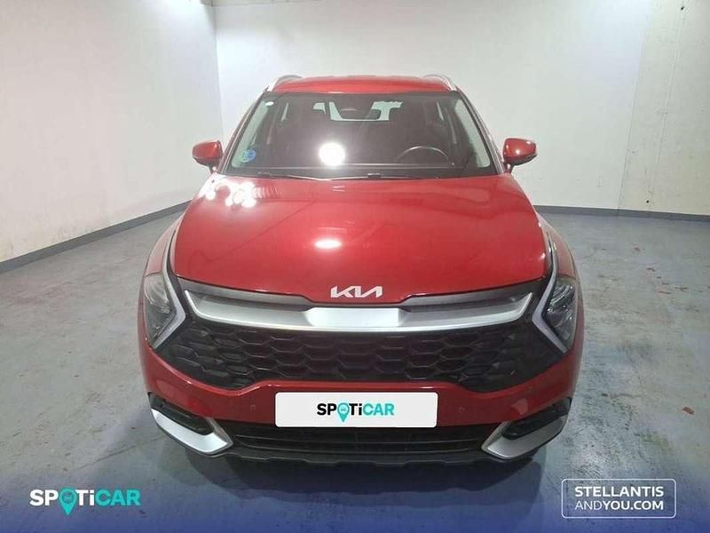 Usado Kia Sportage 162 CV (119 kW) 2024 Rojo SUV